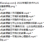 Chris《高阶技术Plus》高阶者路线【配套2022】-恋爱有方法