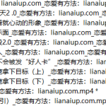 Eric子轩《打造男性吸引力训练营2.0》-恋爱有方法