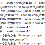 熊猫2024年新课3.0《高手法则》-恋爱有方法