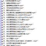 张院长《技巧软功》-恋爱有方法
