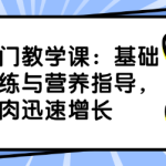 增肌入门教学课:力量训练全面指导,你的肌肉迅速增长-恋爱有方法