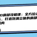 3D肩部攻略课:全方位训练,打造饱满立体的肩部肌肉-恋爱有方法