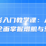 增肌塑形入门教学课:从基础到进阶,全面掌握增肌与塑形技巧-恋爱有方法