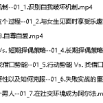 泰勒《最后一搏计划》人工翻译版-恋爱有方法